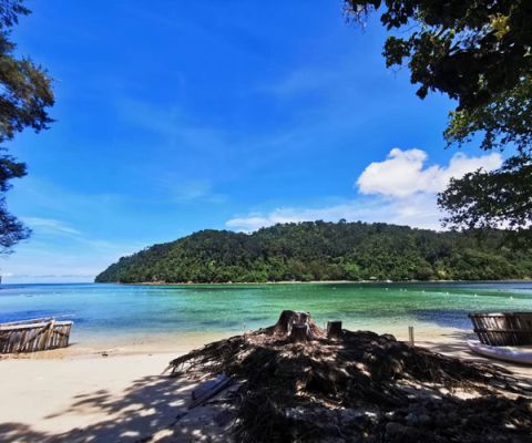Manukan and Sapi Islands Excursion