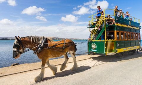 Victor Harbor and Southern Highlights (without Lunch)