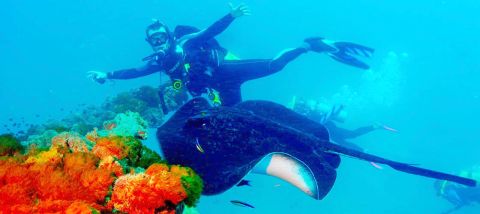 Yongala Wreck Dive Trip from Townsville and Magnetic Island