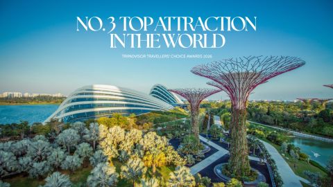 Gardens by the Bay