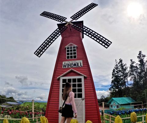 Sosodikon Hill Hiking, Desa Cattle Dairly Farm, & Sky-Mirror Photography 1 Day Tour