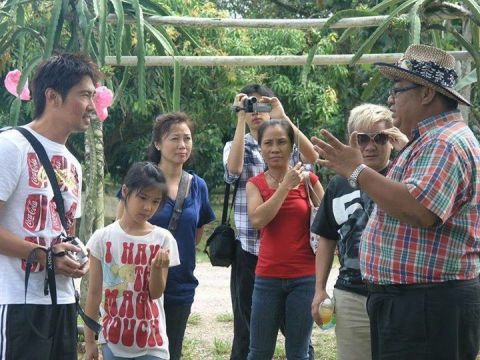 Desaru Fruit Farm Walking Tour