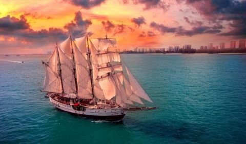Royal Albatross Sunset Dinner Cruise