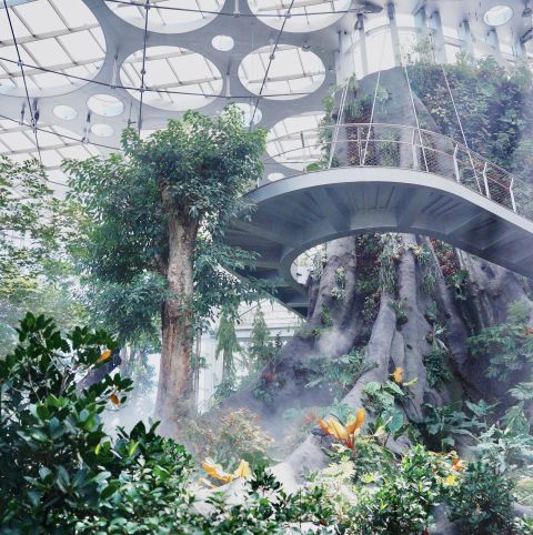 Shanghai Greenhouse Garden Adult Ticket ( Asia's Largest Glass Greenhouse)