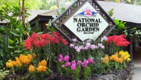 National Orchid Gardens