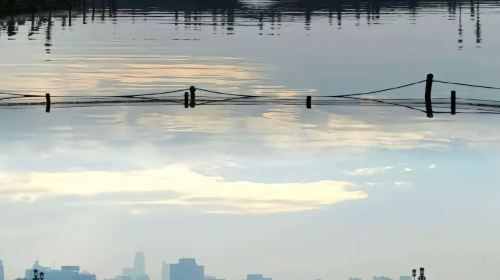 Hangzhou West Lake + Songcheng + Lingyin Temple + Xixi National Wetland Park private charter one-day tour - English service available Day Tours