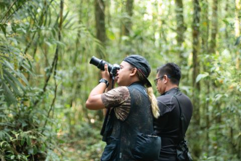 Full day / 2D1N Birding @ KNP & Poring