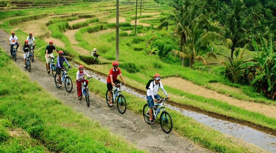 Mt. Batur Sunrise Jeep Experience & Cycling Tour by Bali Volcano Jeep