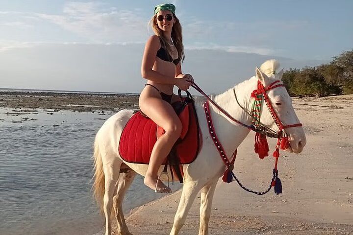 Beach Horseback Riding Experience in Gili Islands Lombok