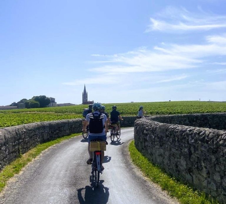 Bordeaux: St-Emilion Vineyards e-Bike Tour with Wine & Lunch