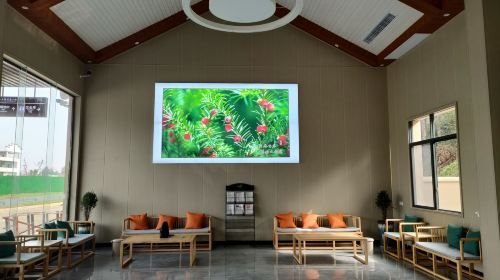 Yew Health Valley