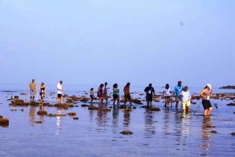 Desaru Beach and Tide Pool Discovery Walking Tour