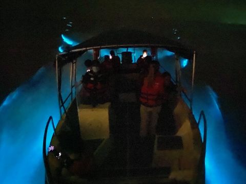 Blue Tears Experience in Kuala Selangor