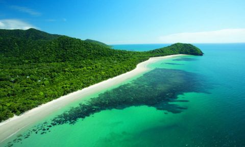 Cape Tribulation Day Tour with Daintree Wildlife Cruise