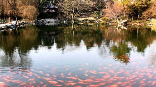 Hangzhou Highlights Half-Day Tour: West Lake, Leifeng Pagoda, and Three Pools Mirroring the Moon (Chinese Service) Day Tours