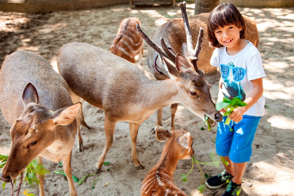 Bali Zoo for Non-Indonesian ID Holder
