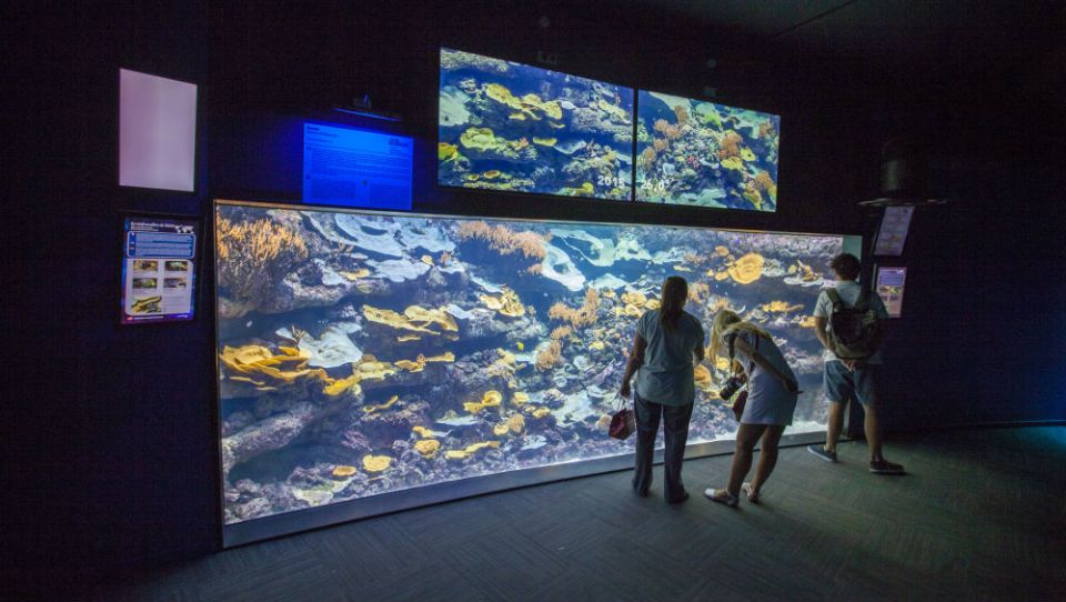 Aquarium de Paris: Entry Ticket