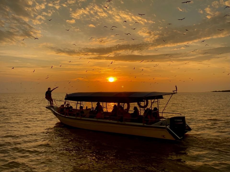 Eagle Watching, Fireflies, Blue Tears Experience in Kuala Selangor 