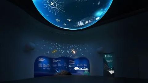 [Special] Singapore Oceanarium