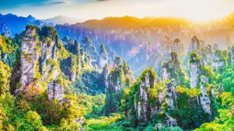 Zhangjiajie National Forest Park 1 - Day Tour with VIP Fast - Track Entrance and Eco - Bus Access