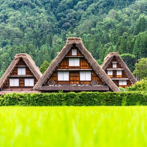 Shirakawa Day Tour from Nagoya: One-day tour of Shirakawa-go with Chinese, English and Japanese guide