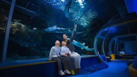Guanlan Ocean World