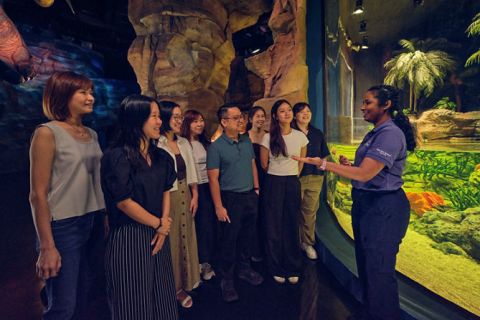 Singapore Oceanarium Education Programmes