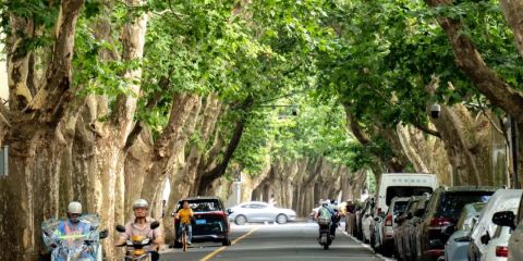 Shanghai Private French Concession Tour: Alley to Mansion (Xintiandi, Tianzifang, WuKang)