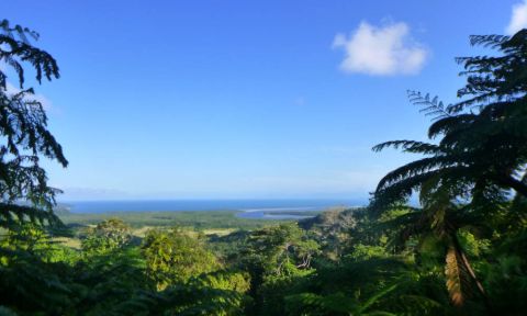 Cape Tribulation Budget Day Tour