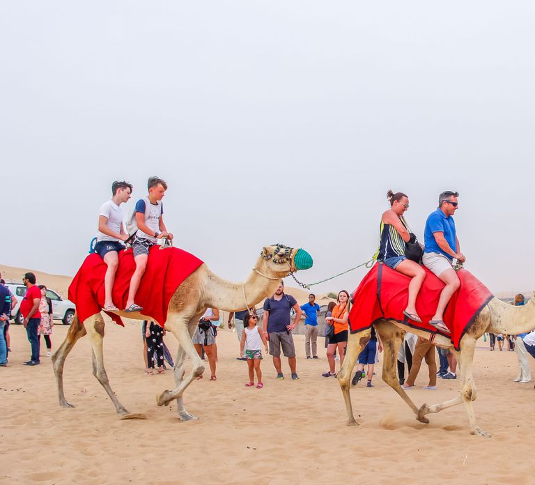 Dubai Sunrise Desert Camel Trek with Breakfast
