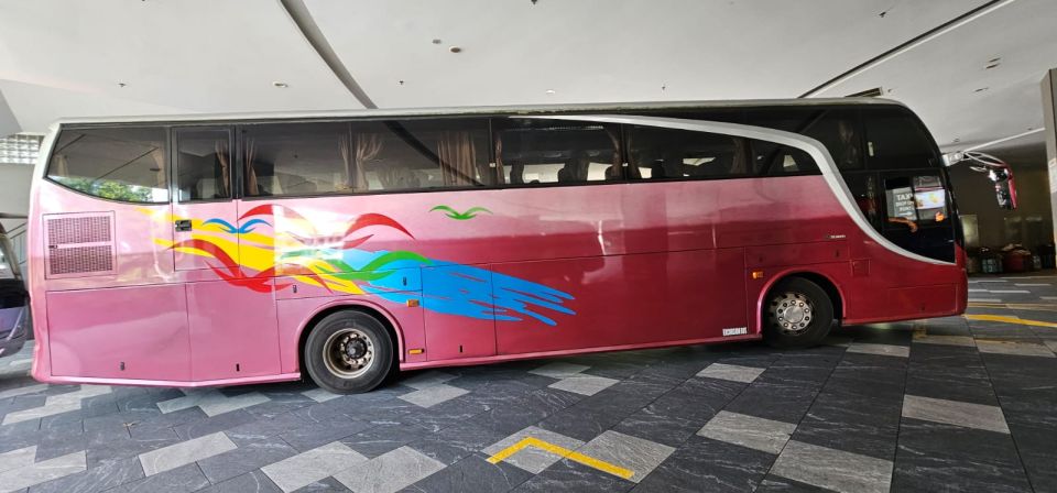 55 SEATER TRANSFER