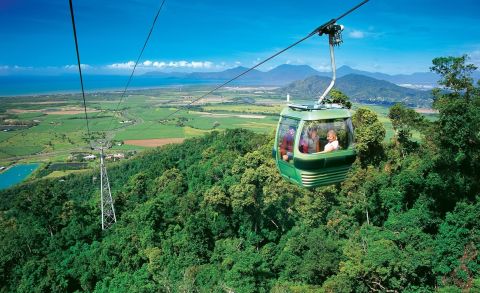 Return Skyrail Rainforest Cableway Experience