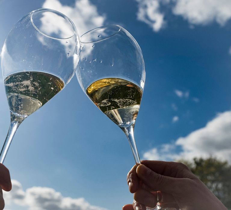 From Epernay : Bubble Champagne Tour 6 tastings