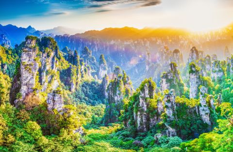 Zhangjiajie National Forest Park 4-day ticket (including eco-friendly shuttle)