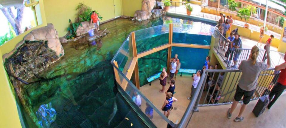 Crocosaurus Cove General Admission Tickets