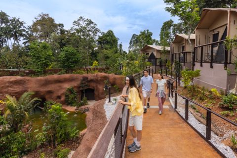 Glamping in the Wild - Crocodile Lodge