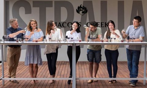 Vineyard Tour and Wine Tasting Private Group Experience