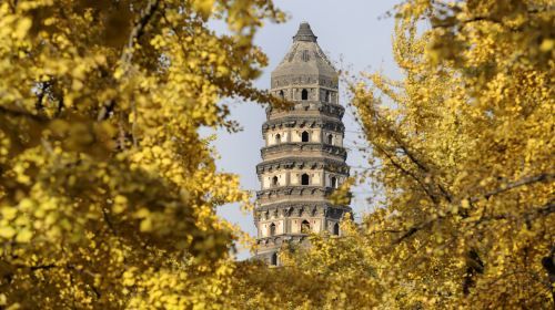 Suzhou City Highlights Day Tour|Humble Administrator's Garden, Tiger Hill, Lion Grove, Hanshan Temple Day Tours
