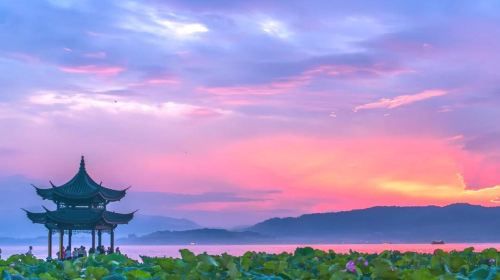 Hangzhou West Lake Scenic Area Rowing Boat (40 minutes) + guide Guide + Leifeng Pagoda admission ticket Half Day Day Tours
