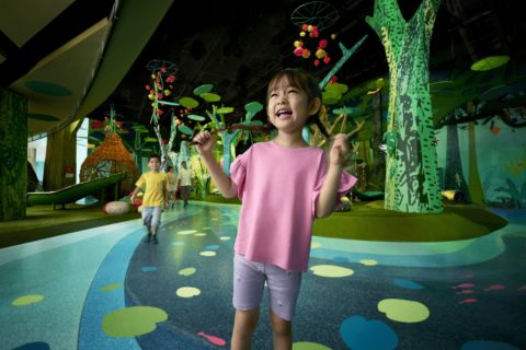 Curiosity Cove
