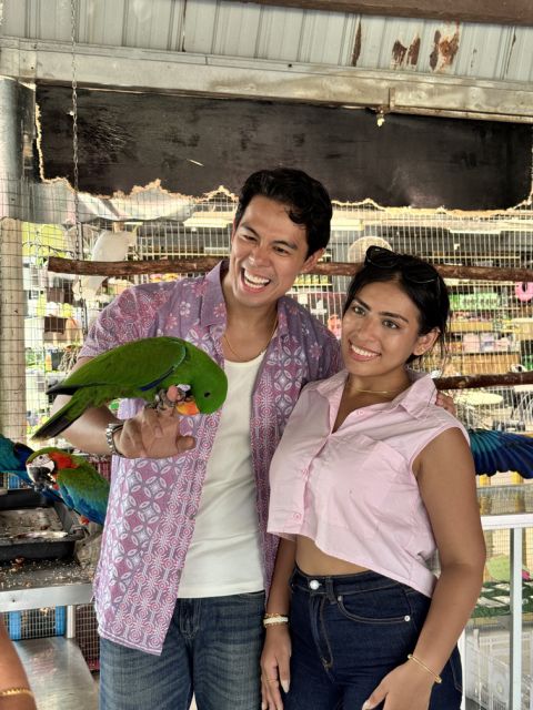 Desaru Fruit Farm Indoor Petting Corner