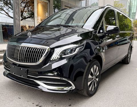 Airport Private Transfer - Changi Airport or Downtown to Singapore Zoo