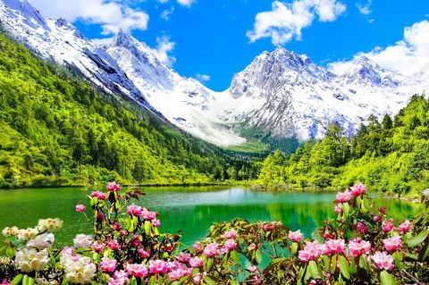 Bipenggou Admission Ticket + Shuttle Bus Adult (Non-Mainland Chinese Tourists)