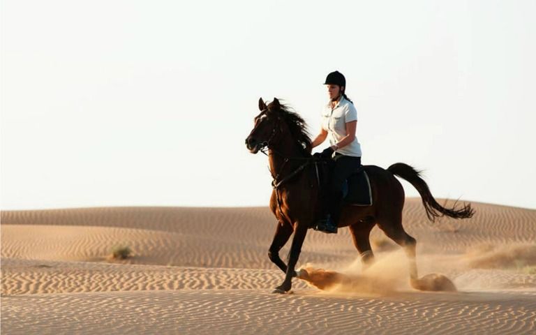 Horse Desert Park Ride