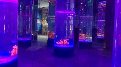 Shaoxingziran Museum