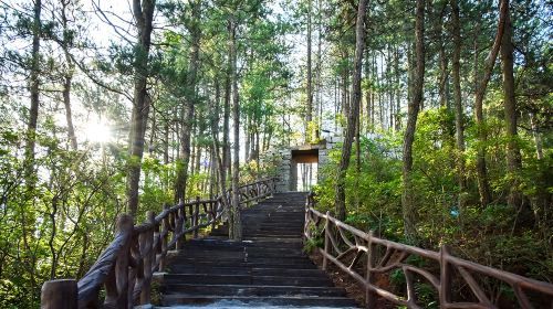 Feiqizhai Scenic Area