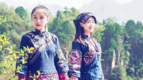 1-on-1 live guided tour in Zhangjiajie|Certified guide|Full Accompanying Service|Zhangjiajie Private Tour Guide (Chinese/English/Korean/Road Trip): Zhangjiajie Forest Park + Tianmen Mountain Day Tours