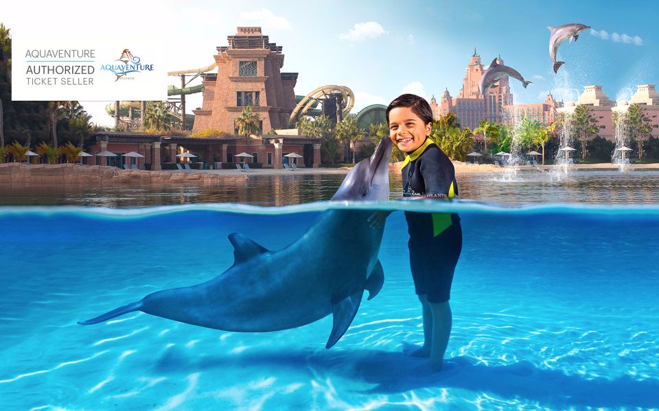 Dolphin Photo Fun
