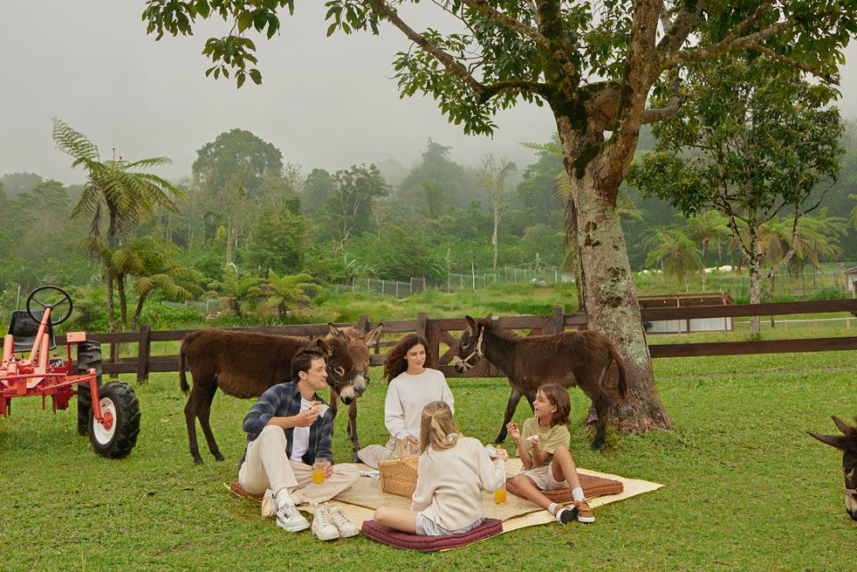 Bali Farm House Activity