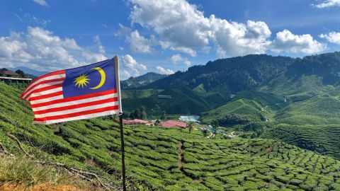 Cameron Highlands Day Tour from Kuala Lumpur with Lunch (Guided Tour)